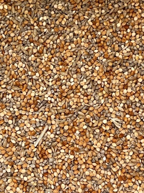 1kg Finch Seed Mix